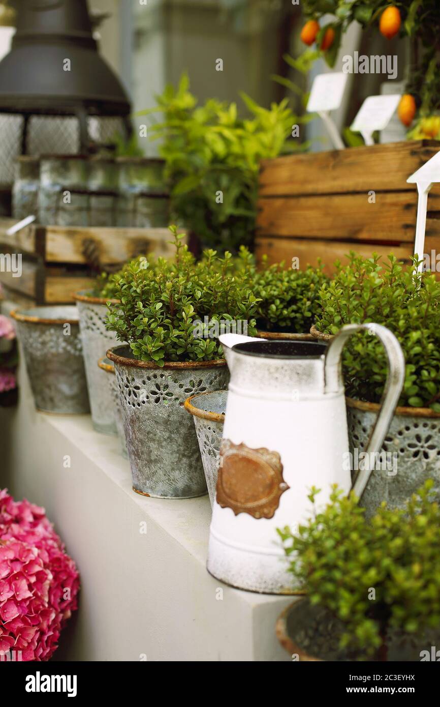 Mobili da giardino d'epoca sulla terrazza Foto Stock
