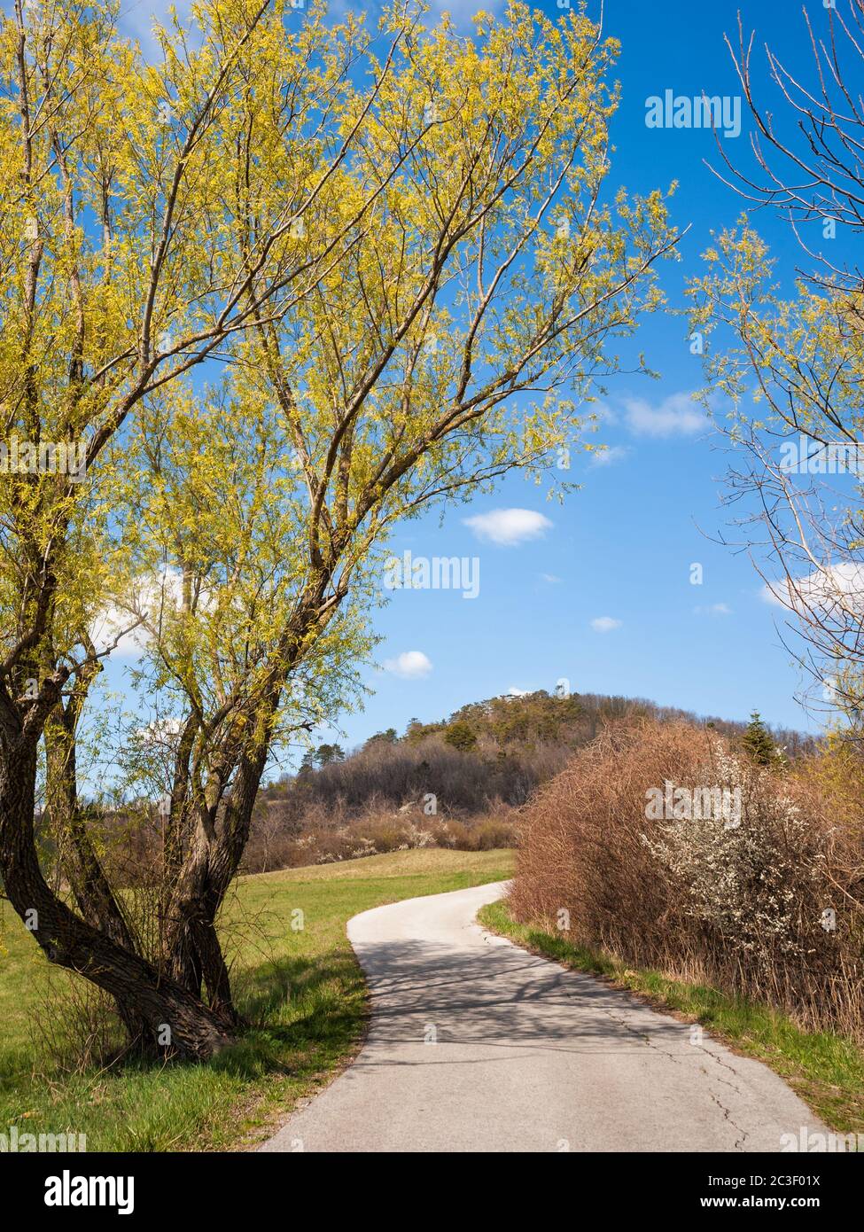 Strreet verso Marzer Kogel in Burgenland in primavera Foto Stock