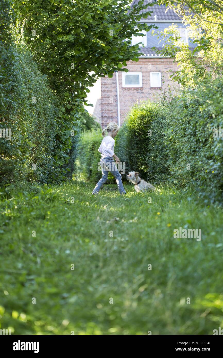 Ragazza (7) con cane (Promenade mix) giocare, Kiel, Schleswig-Holstein, Kiel, Germania Foto Stock