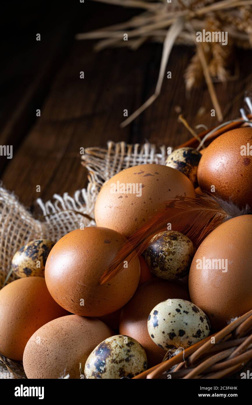 Uova fresche direttamente dalla fattoria in un cestino Foto Stock