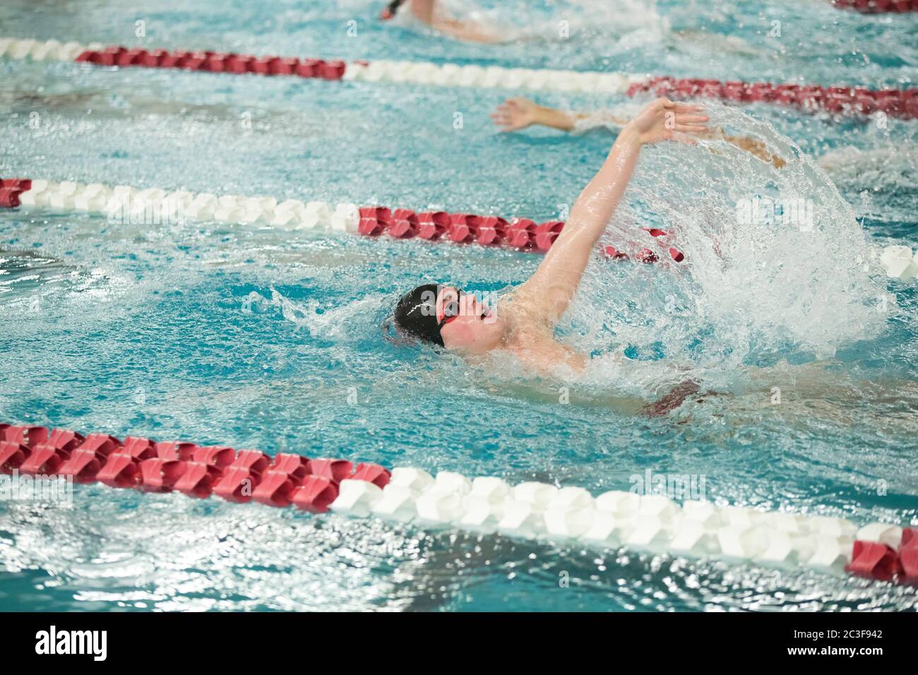 Un giovane nuotatore maschile della scuola superiore nuota il backstroke durante un incontro di nuoto Foto Stock