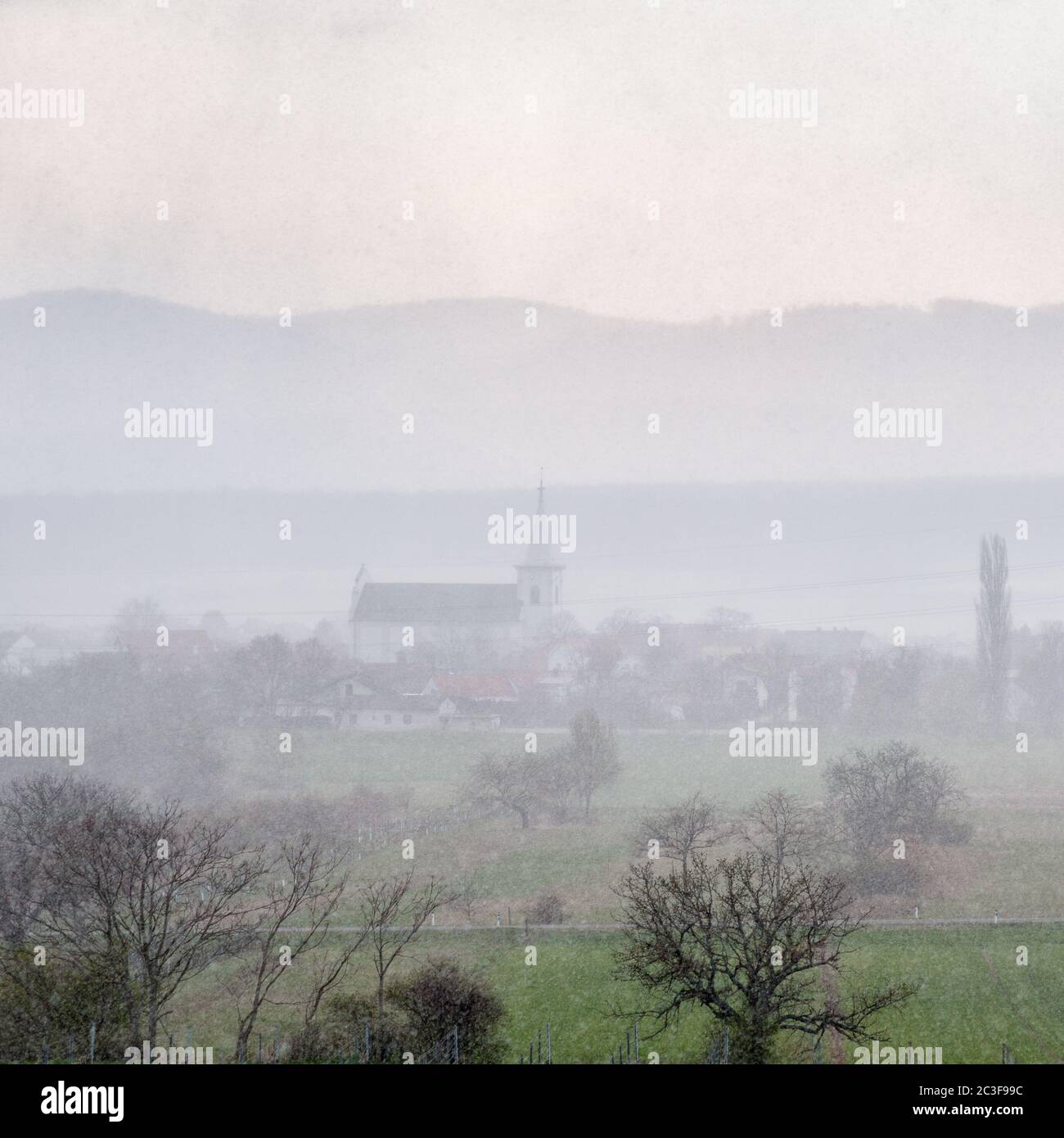 Fiocchi di neve in cattive condizioni meteorologiche in Burgenland Foto Stock