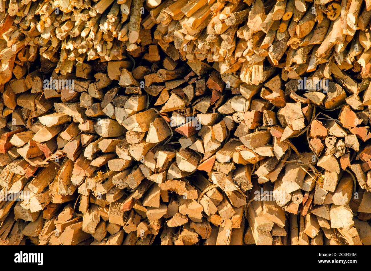 Legna da ardere di legno tropicale. Birmania. Myanmar Foto Stock