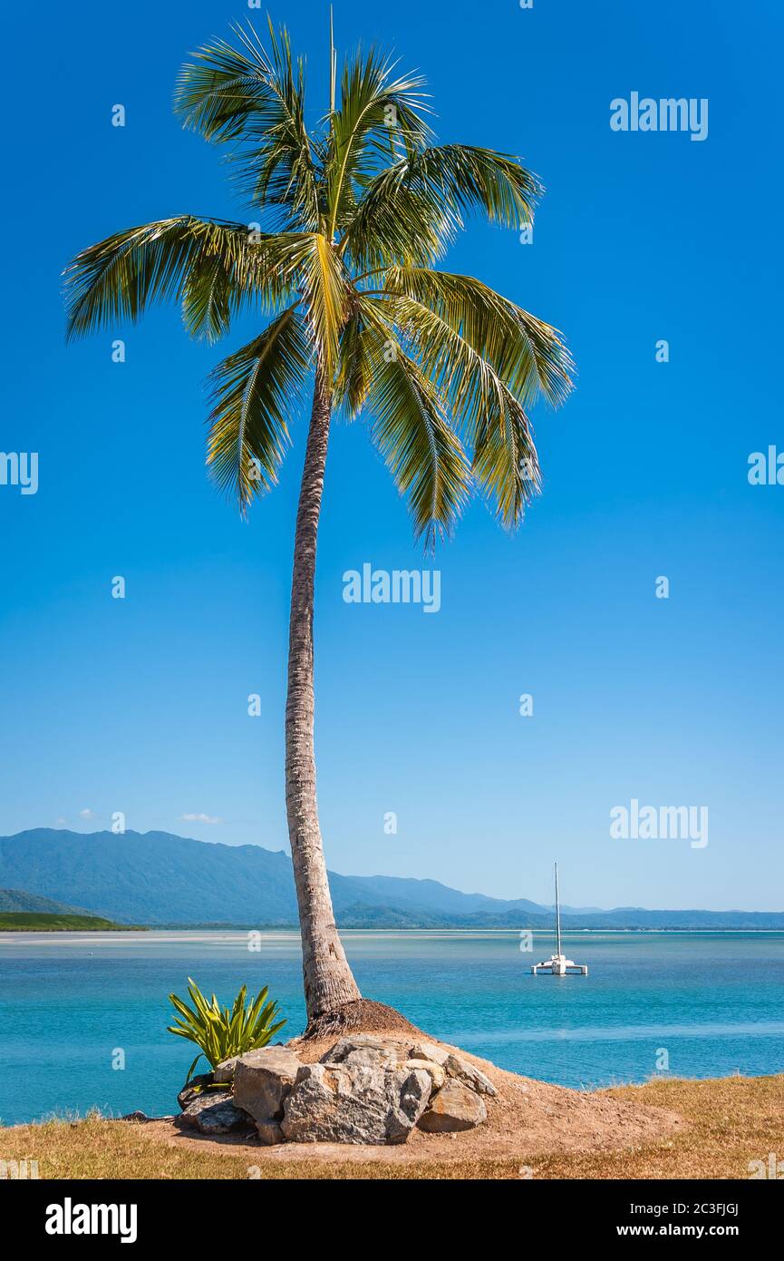 Bella e tropicale scena con la mitica palme di cocco che si affaccia sul cristallo, chiaro, acque blu dell'Oceano Pacifico con un trimarano ancorata Foto Stock