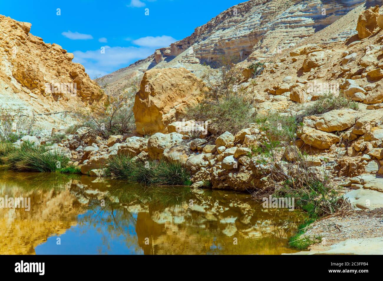 Creek Zin scorre attraverso il canyon Ein Avdat Foto Stock