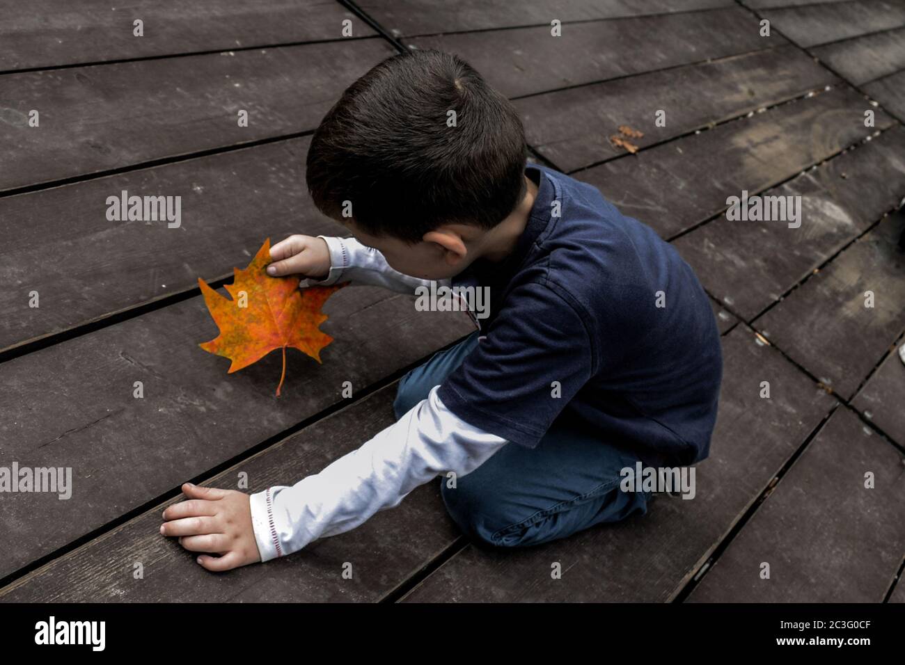 Ragazzino e foglia d'acero su un pavimento in legno Foto Stock