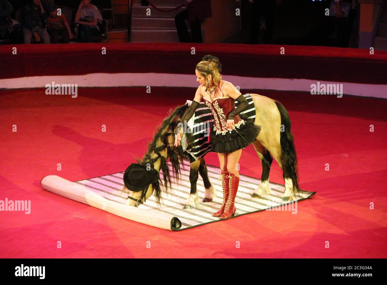 Allenatore animale che si esibisce insieme a piccoli cavalli nel circo Foto Stock