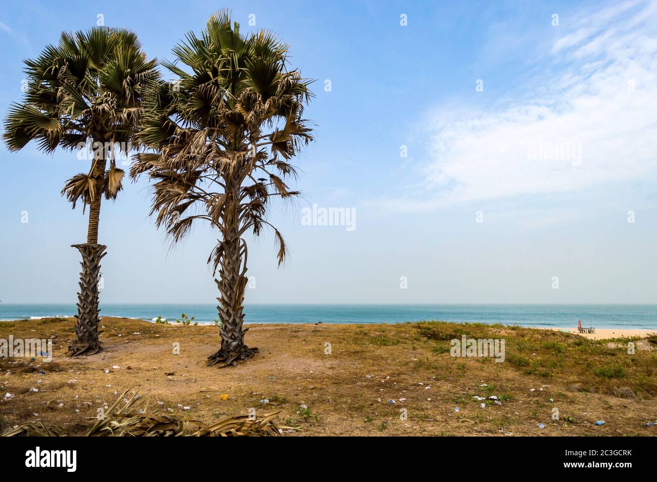 Due palme sulla spiaggia di Bijilo Foto Stock