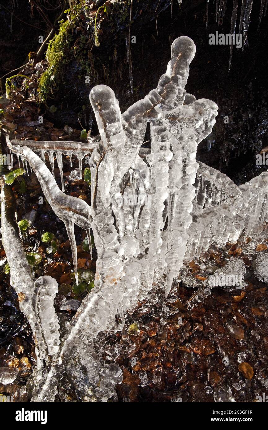 Ghiaccio su rami congelati alla cascata Plaesterlegge in inverno, Bestwig, Germania, Europa Foto Stock