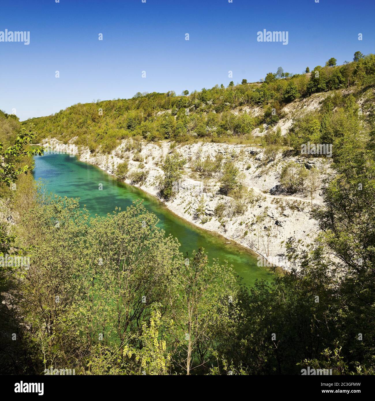 Canyon, riserva naturale di Steinbruch im Kleefeld, Lengerich, Renania settentrionale-Vestfalia, Germania, Europa Foto Stock