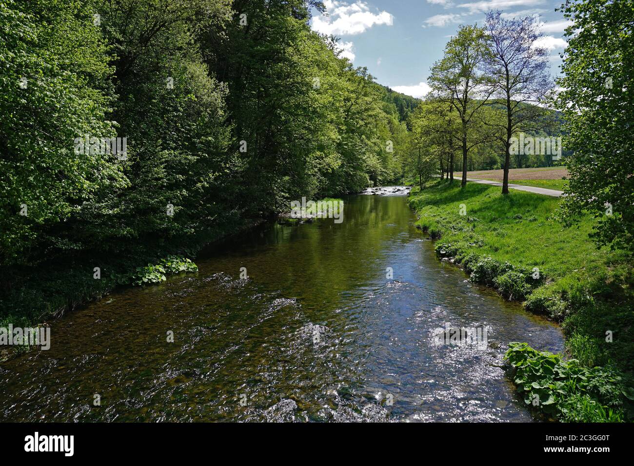 Il Glatt, affluente sinistro del Neckar, Foresta Nera Foto Stock