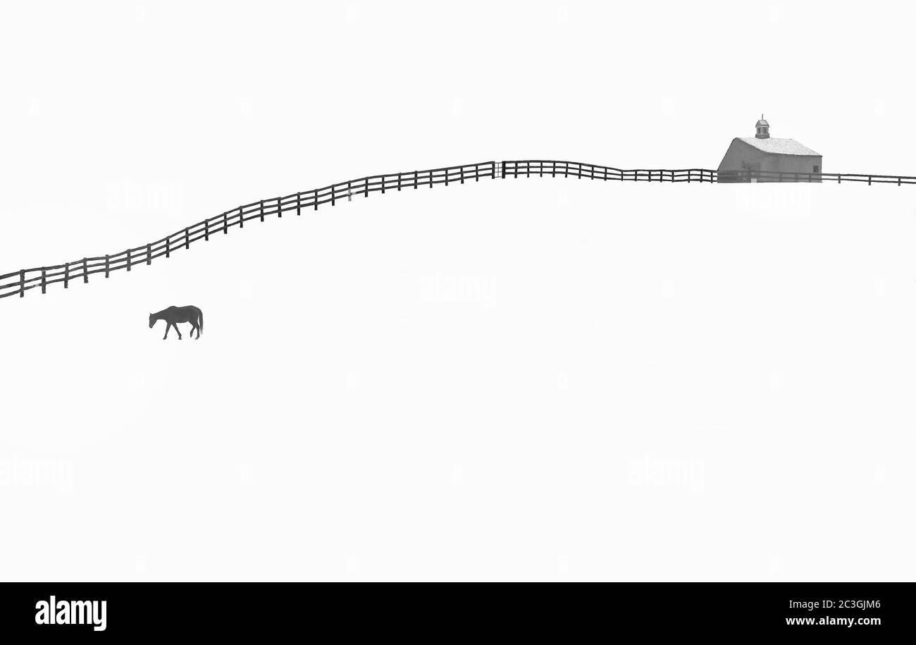 Edificio grigio e un cavallo in inverno Foto Stock