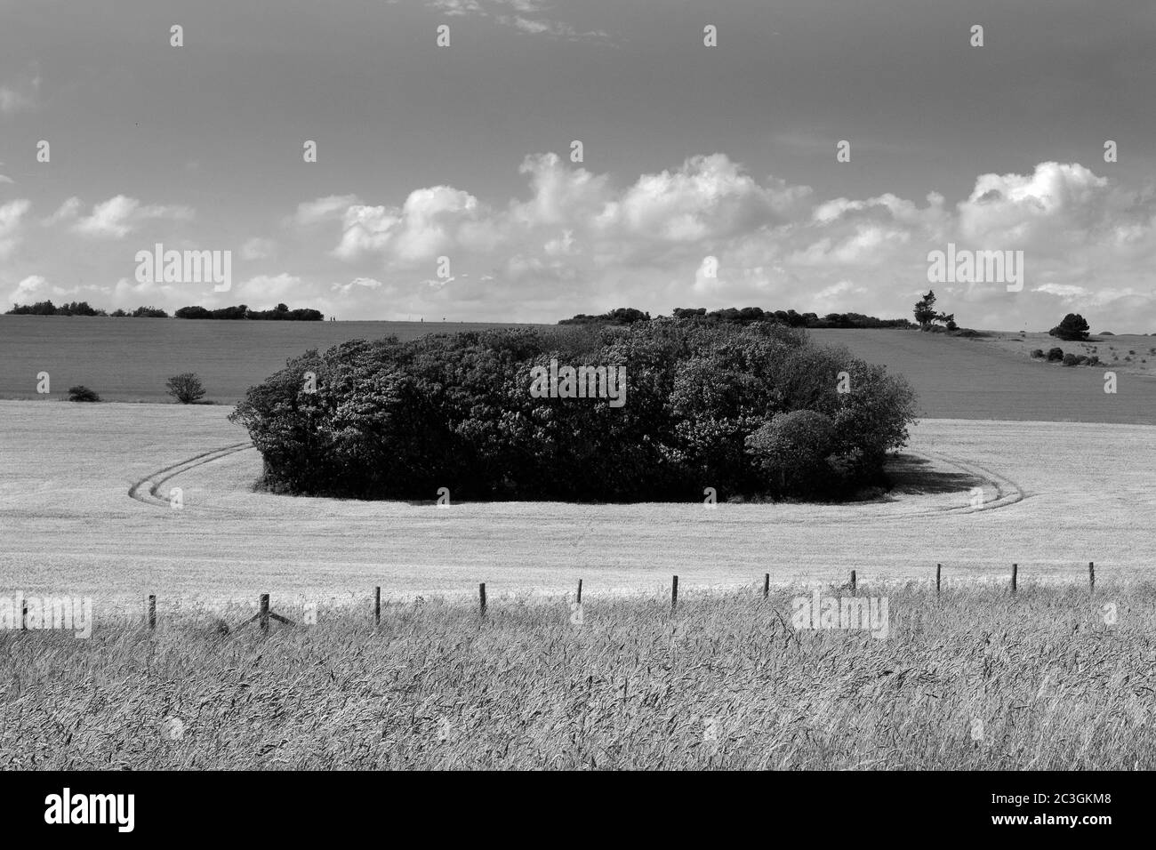 Campo sul percorso della costa dell'Inghilterra vicino al dover Patrol Mounument. Kent Regno Unito Foto Stock