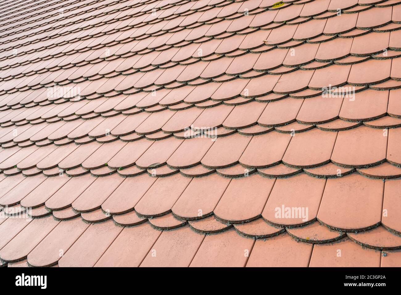 Tetto della casa coperto con tegole di coda di castoro in doppio tetto Foto Stock