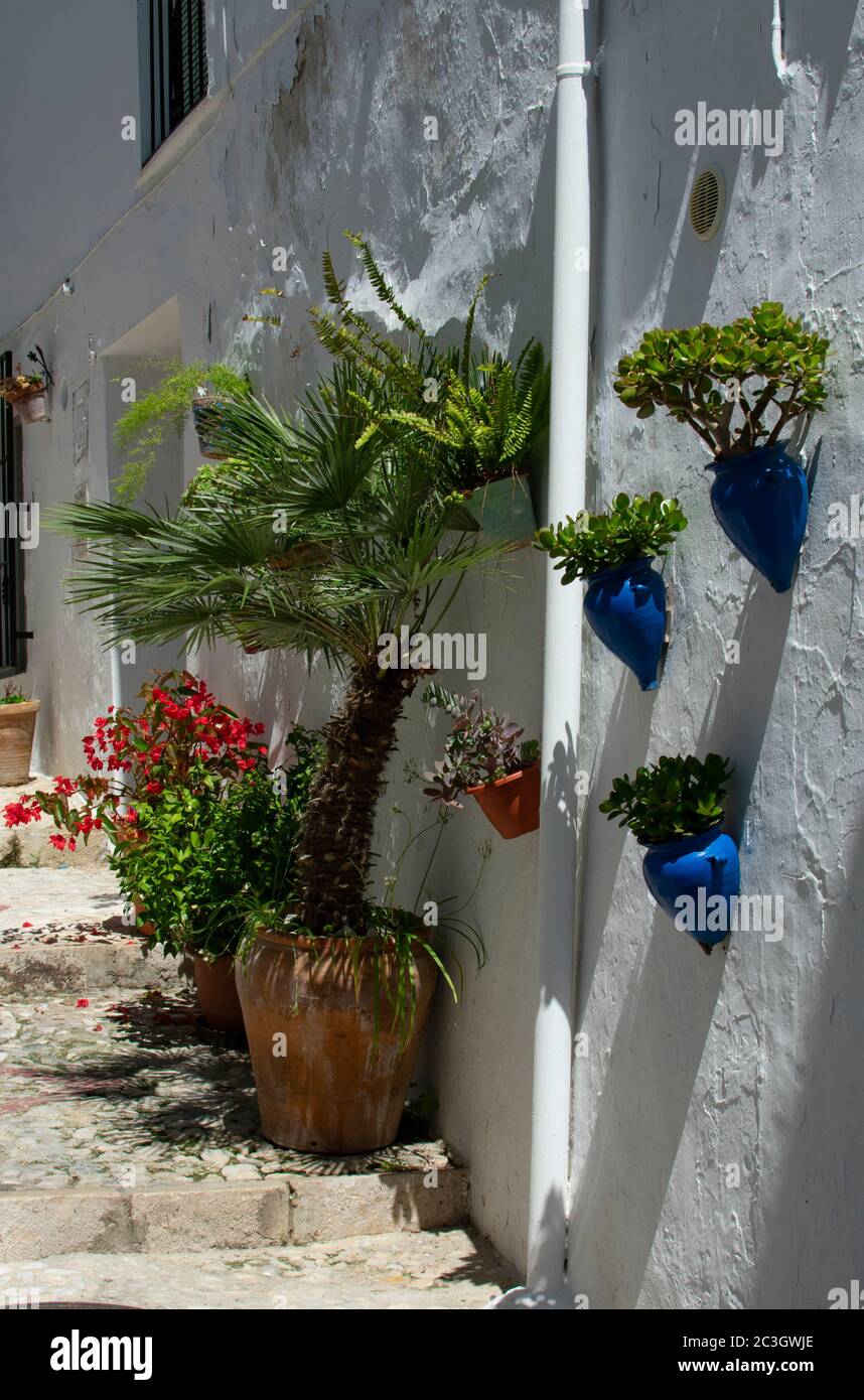 Una vista su una stradina nella graziosa cittadina bianca di Frigiliana, in Andalusia, Spagna meridionale. Fiori e piante in ceramica colorata Foto Stock