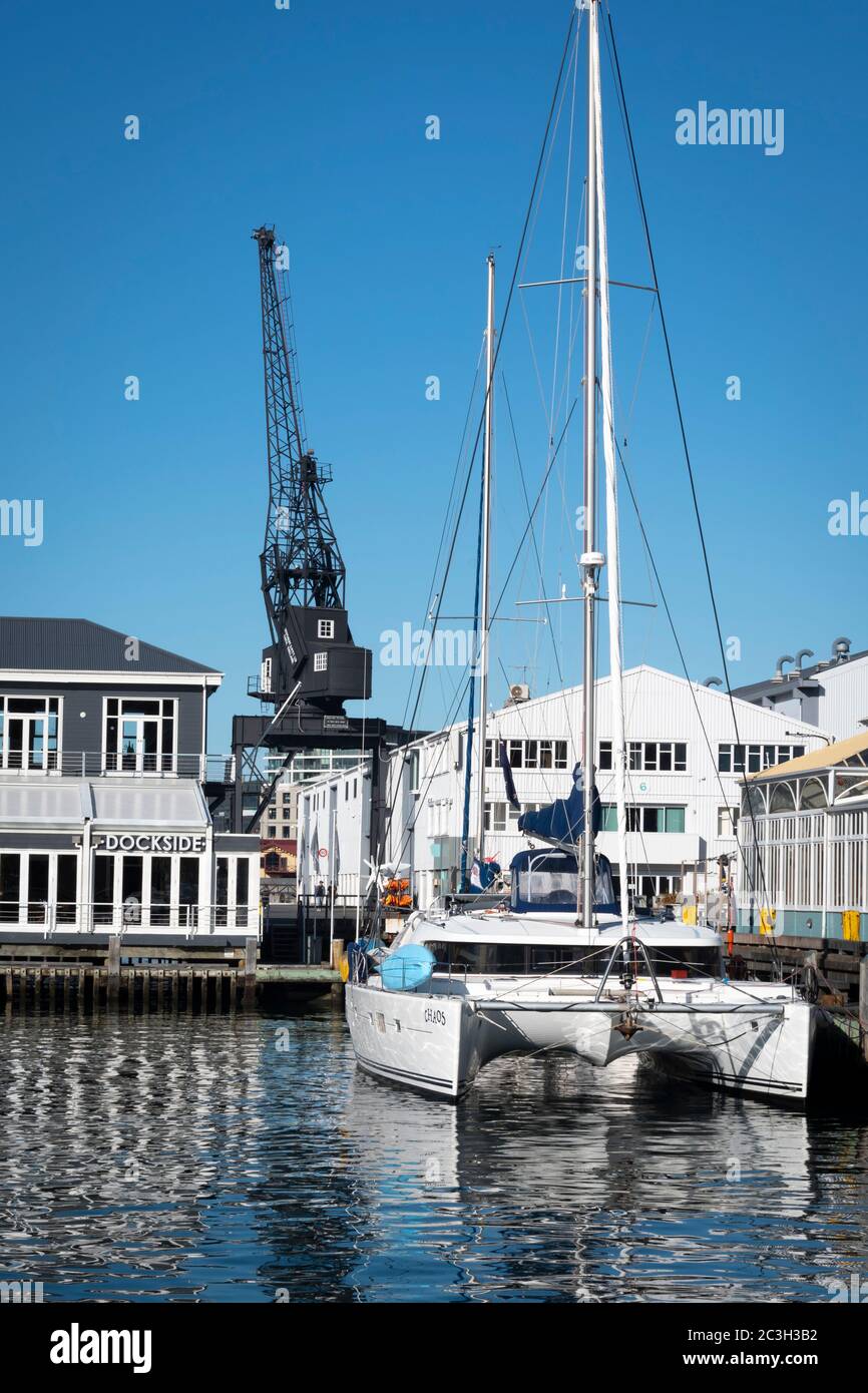 Barche nel porto di Queens Wharf, Wellington Harbour, North Island, Nuova Zelanda Foto Stock