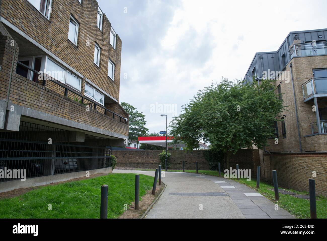 Proprietà dei giardini di Cressingham a Londra del sud, Inghilterra. Foto di Sam Mellish. Foto Stock