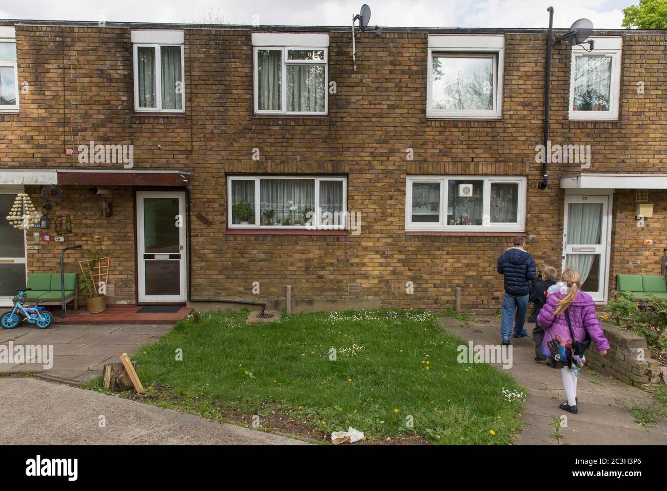 Proprietà dei giardini di Cressingham a Londra del sud, Inghilterra. Foto di Sam Mellish. Foto Stock