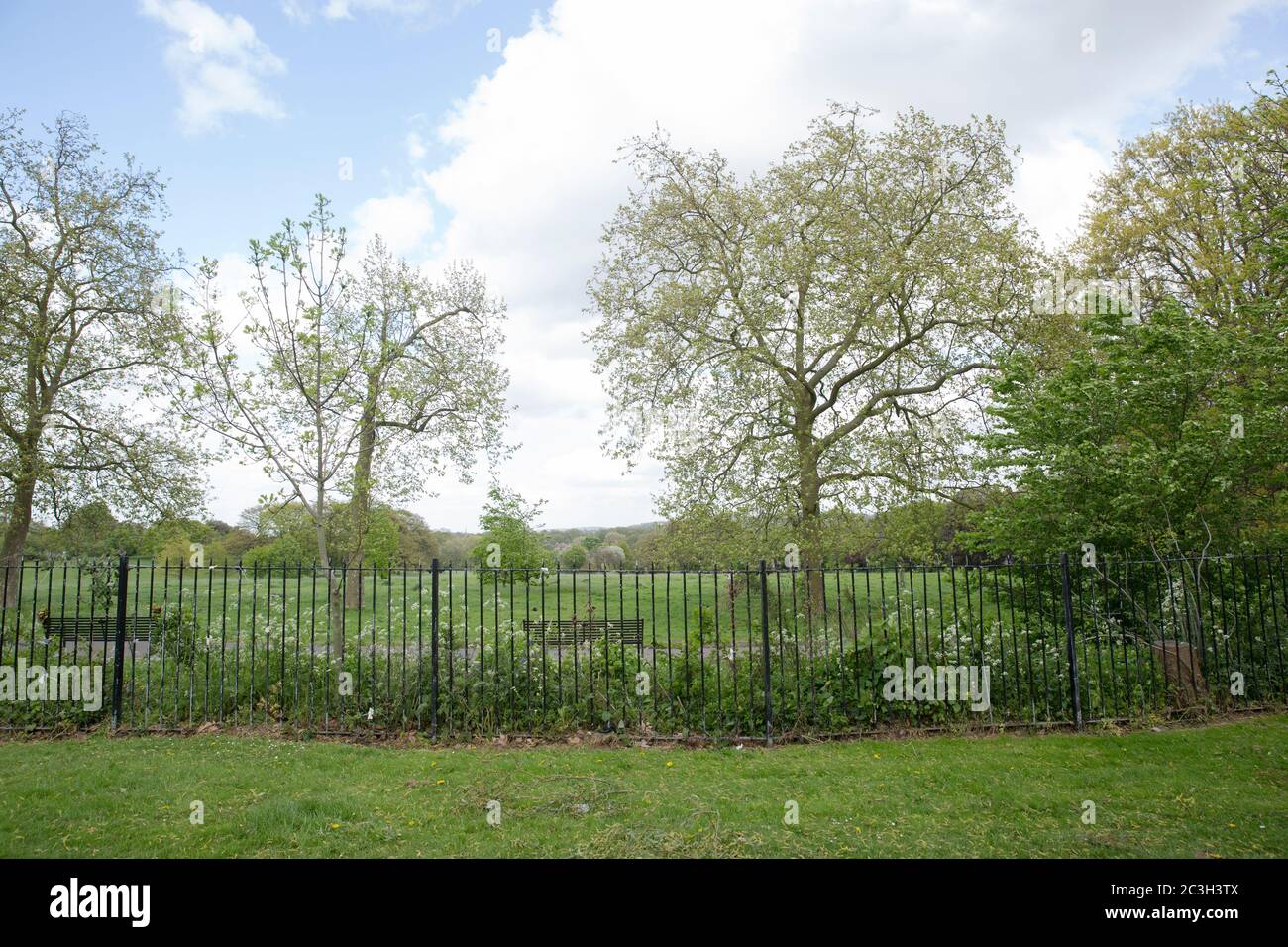 Proprietà dei giardini di Cressingham a Londra del sud, Inghilterra. Foto di Sam Mellish. Foto Stock