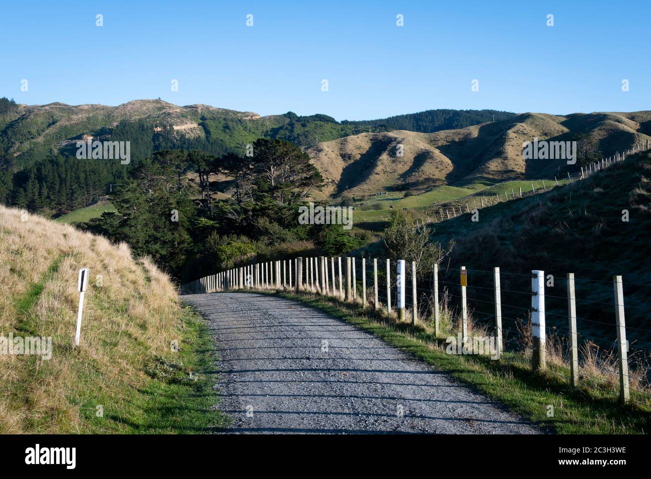 Terreni collinari, Parco Regionale di Battle Hill, vicino a Pauatahanui, Porirua, Wellington, Isola del Nord, Nuova Zelanda Foto Stock