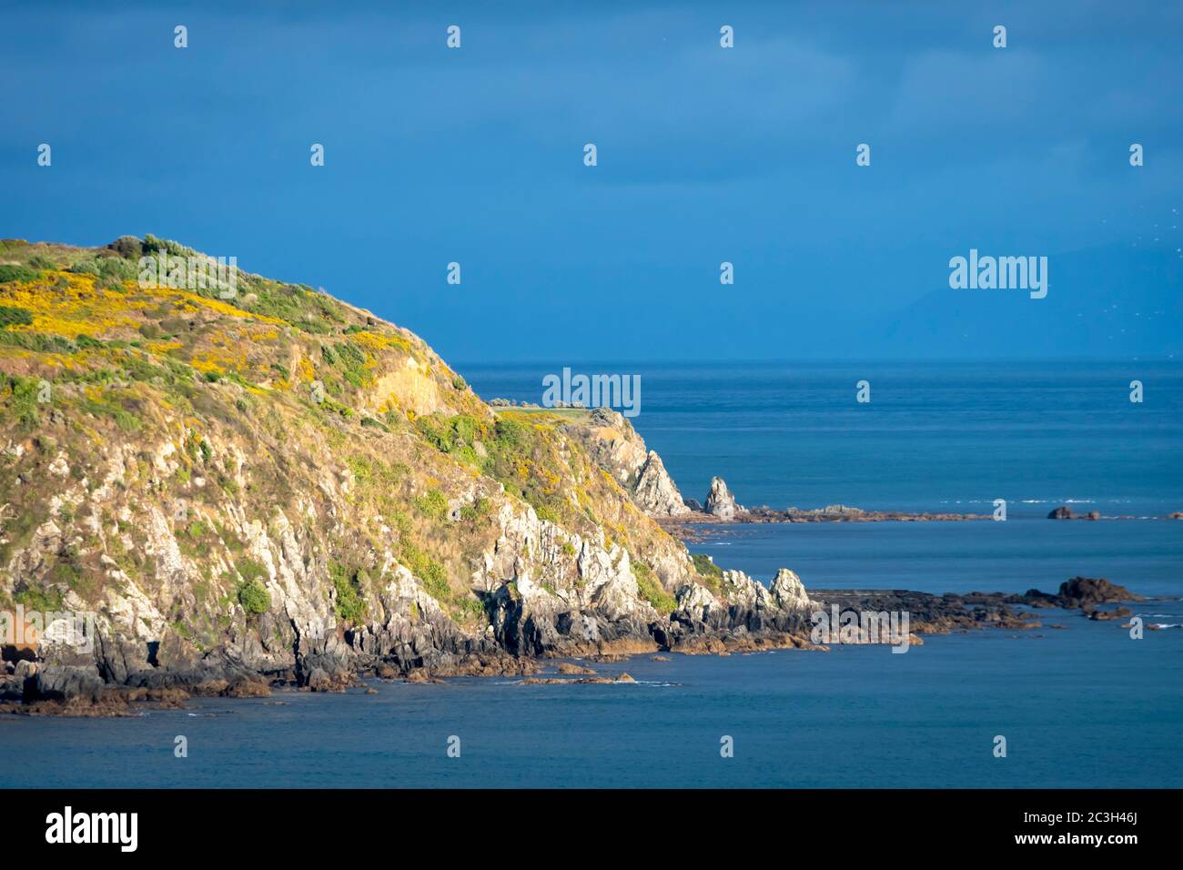 Rocky headland, Titahi Bay, Wellington, Nuova Zelanda Foto Stock