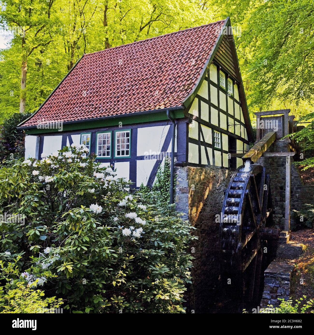 Mulino ad acqua storico, Bad Essen, bassa Sassonia, Germania, Europa Foto Stock