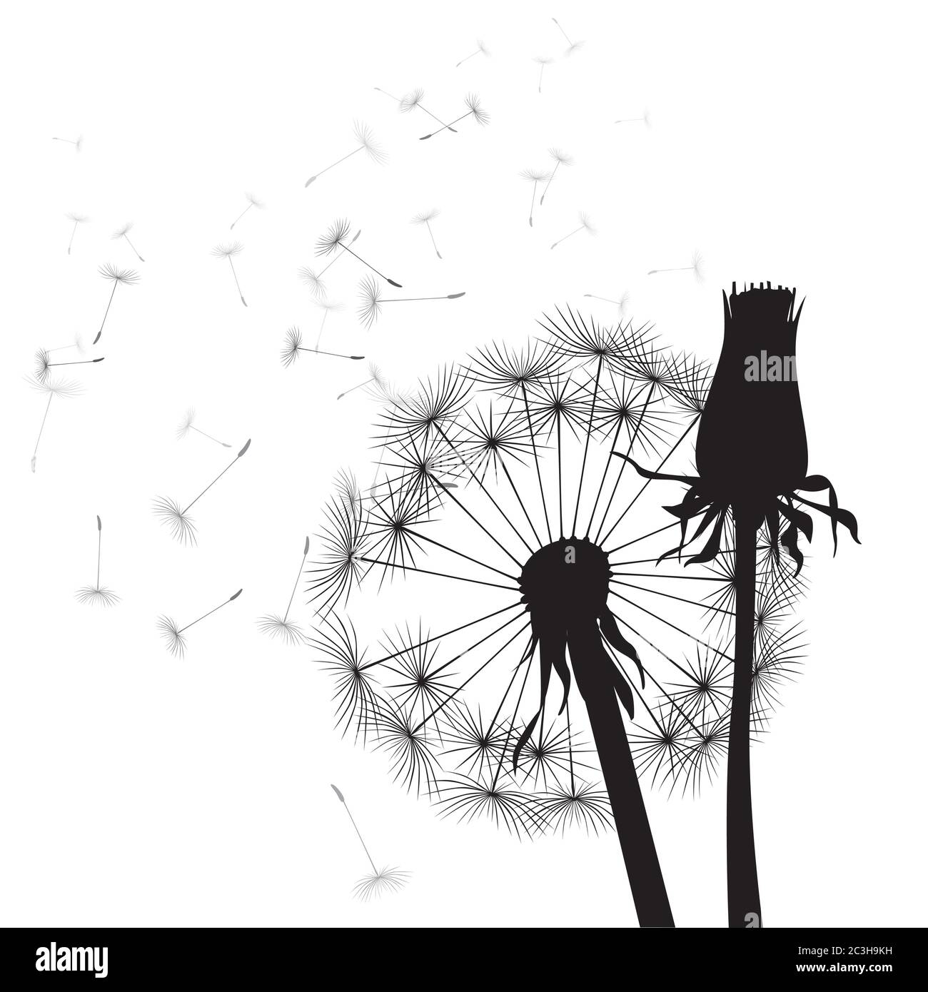 Composizione del dente di leone. Illustrazione vettoriale. File EPS. Illustrazione Vettoriale