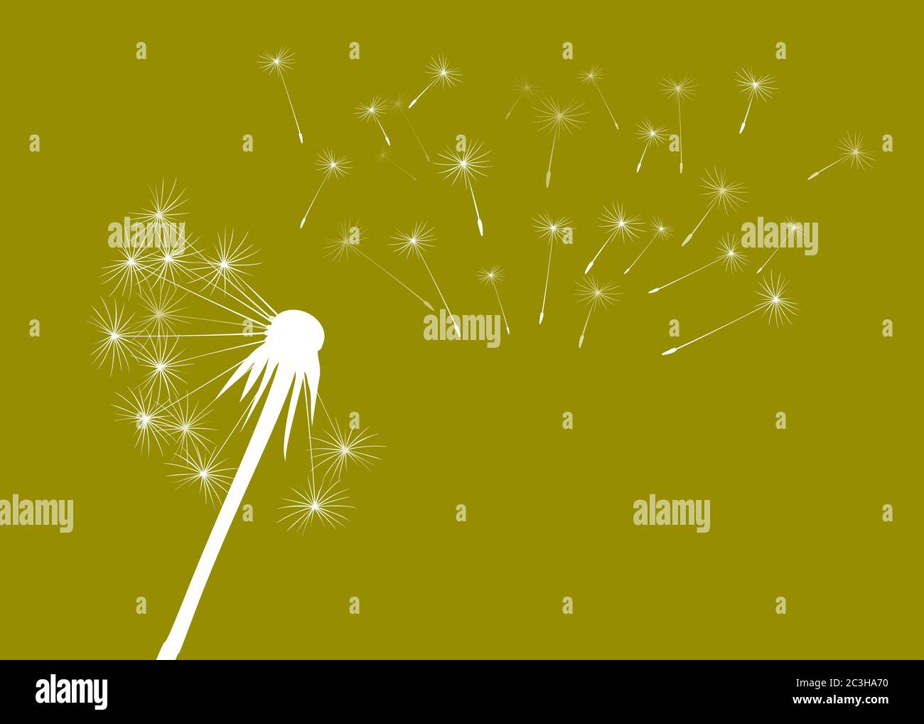 Dente di leone su sfondo nero. Illustrazione vettoriale. File EPS. Illustrazione Vettoriale