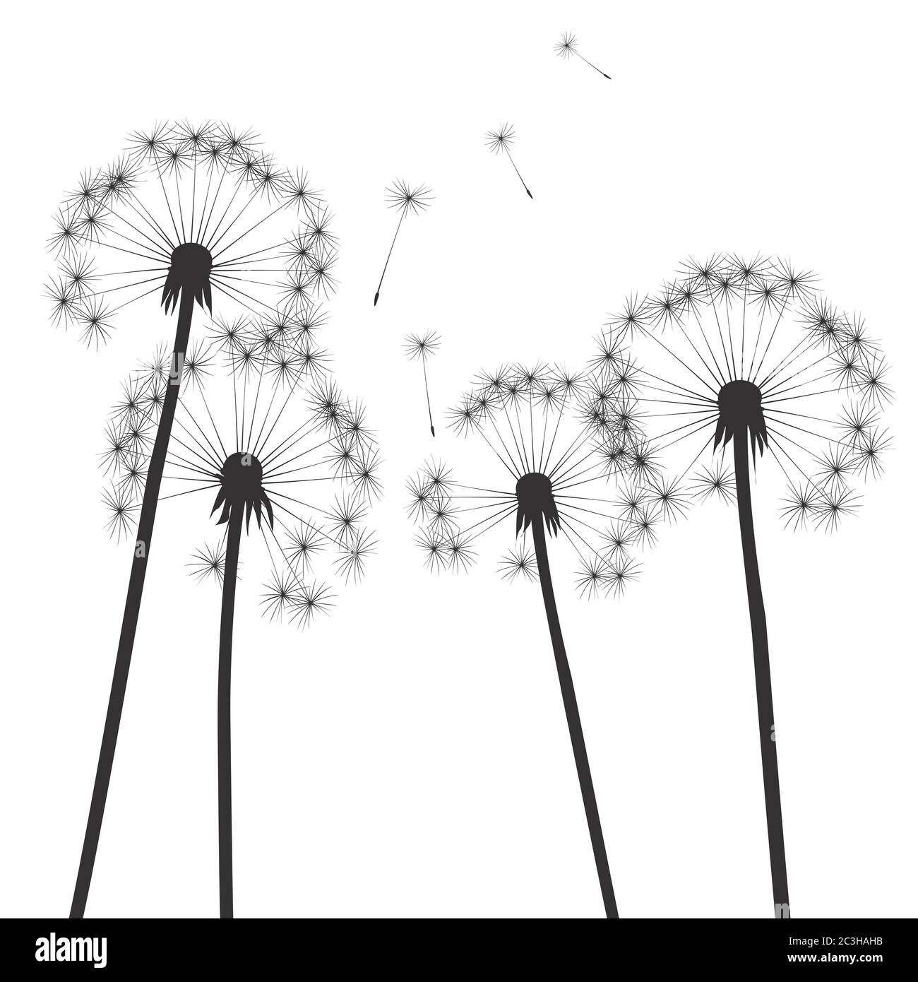 Composizione del dente di leone. Illustrazione vettoriale. File EPS. Illustrazione Vettoriale