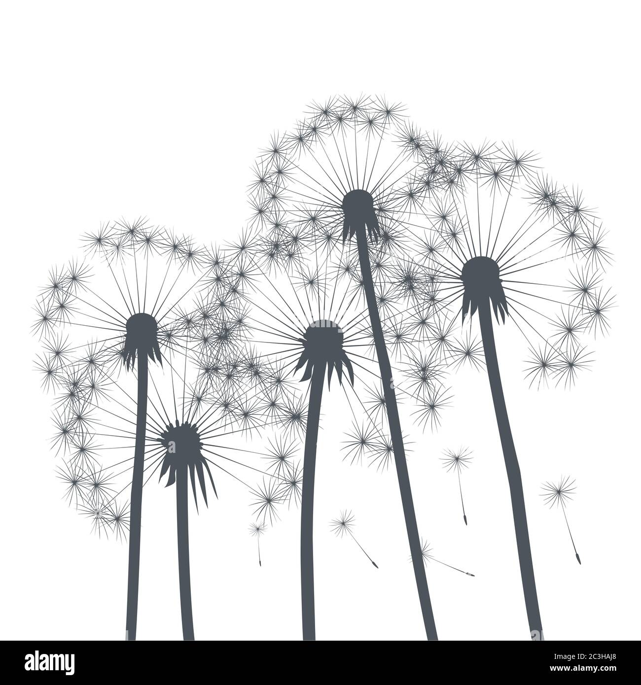 Composizione del dente di leone. Illustrazione vettoriale. File EPS. Illustrazione Vettoriale