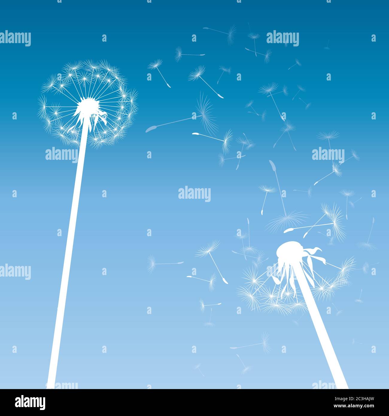 Dente di leone su sfondo a colori. Illustrazione vettoriale. File EPS. Illustrazione Vettoriale