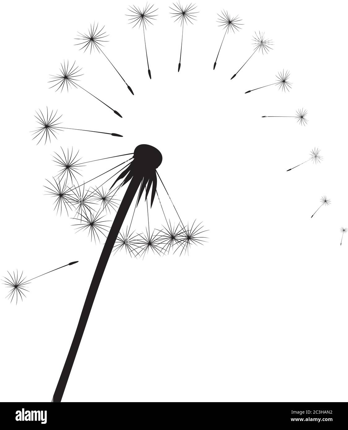 Dente di leone nero su sfondo bianco. Illustrazione vettoriale. Illustrazione Vettoriale