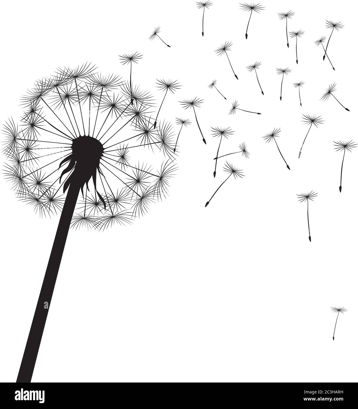 Dente di leone nero su sfondo bianco. Illustrazione vettoriale. Illustrazione Vettoriale