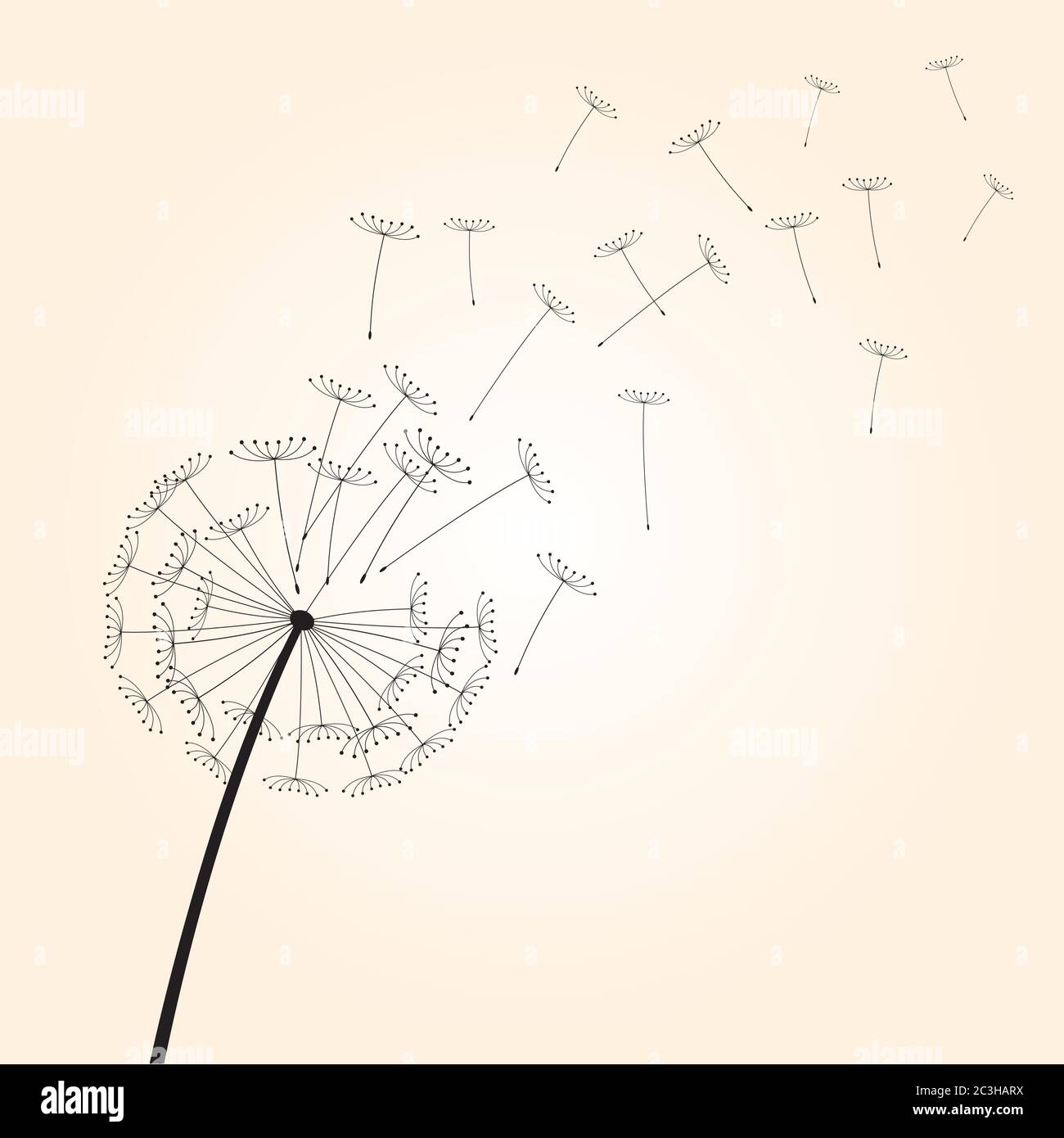 Dente di leone su sfondo nero. Illustrazione vettoriale. File EPS. Illustrazione Vettoriale