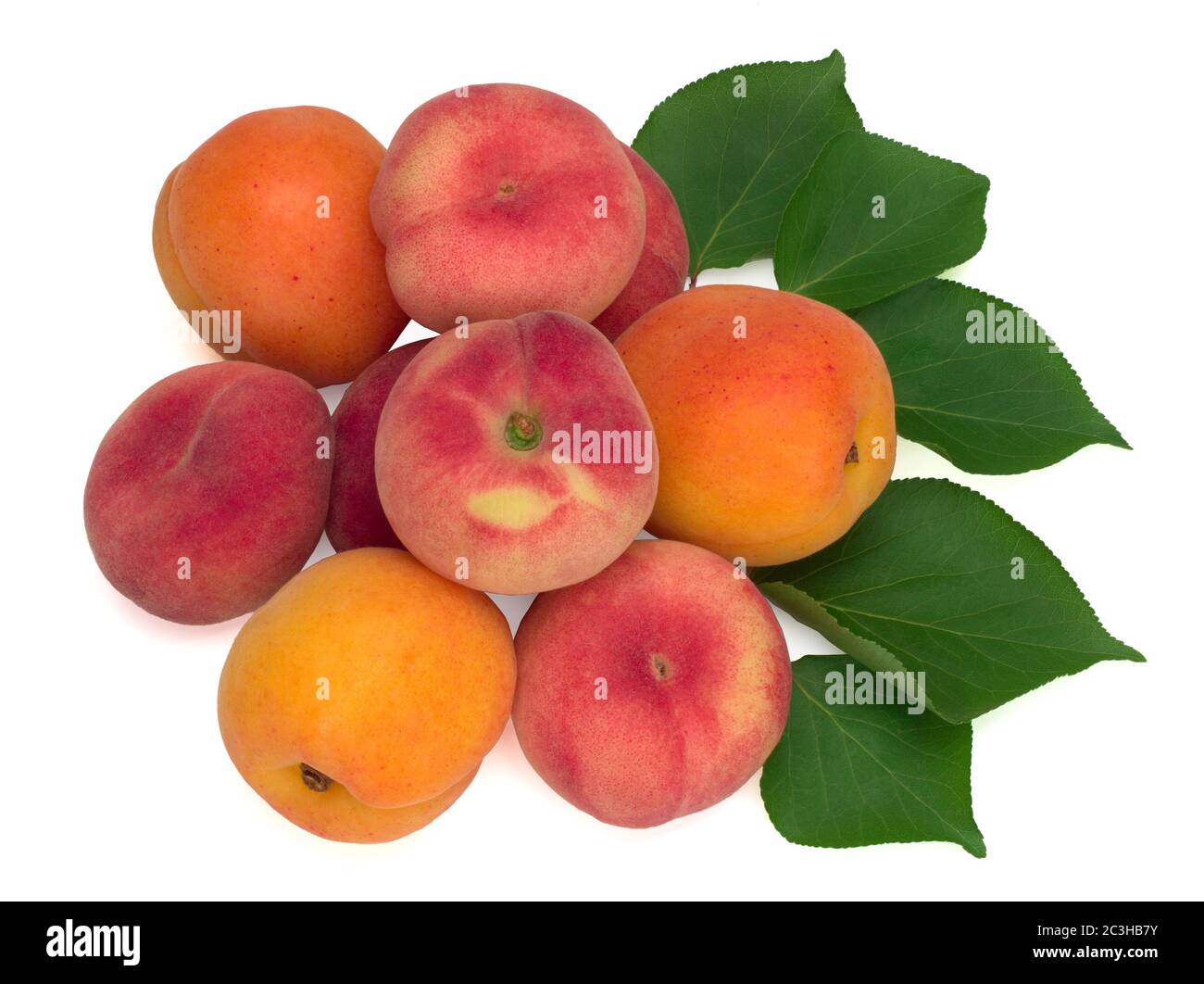 Albicocca fresca, pesche di fico e foglie isolate su sfondo bianco Foto Stock