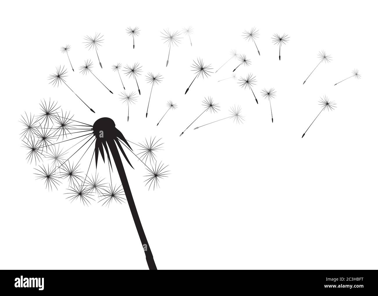 Composizione del dente di leone. Illustrazione vettoriale. File EPS. Illustrazione Vettoriale