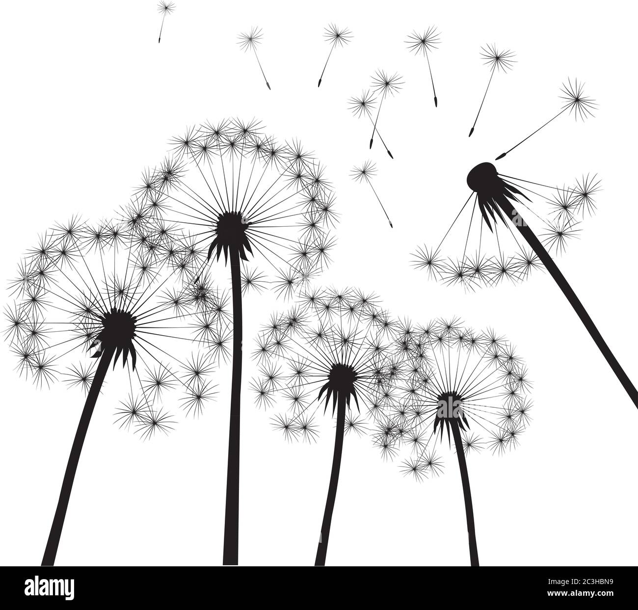 Composizione del dente di leone. Illustrazione vettoriale. File EPS. Illustrazione Vettoriale