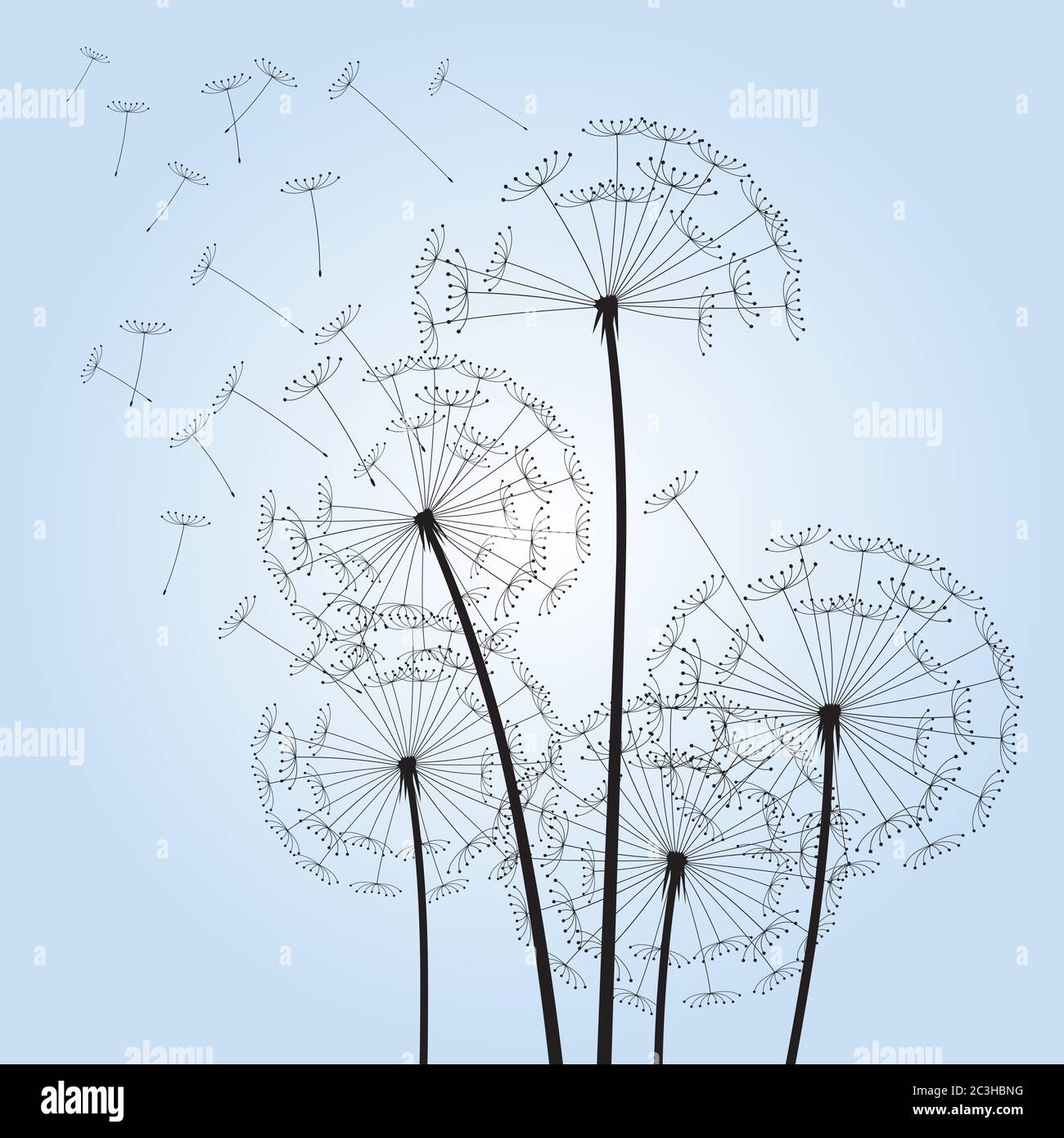 Dente di leone su sfondo a colori. Illustrazione vettoriale. File EPS. Illustrazione Vettoriale