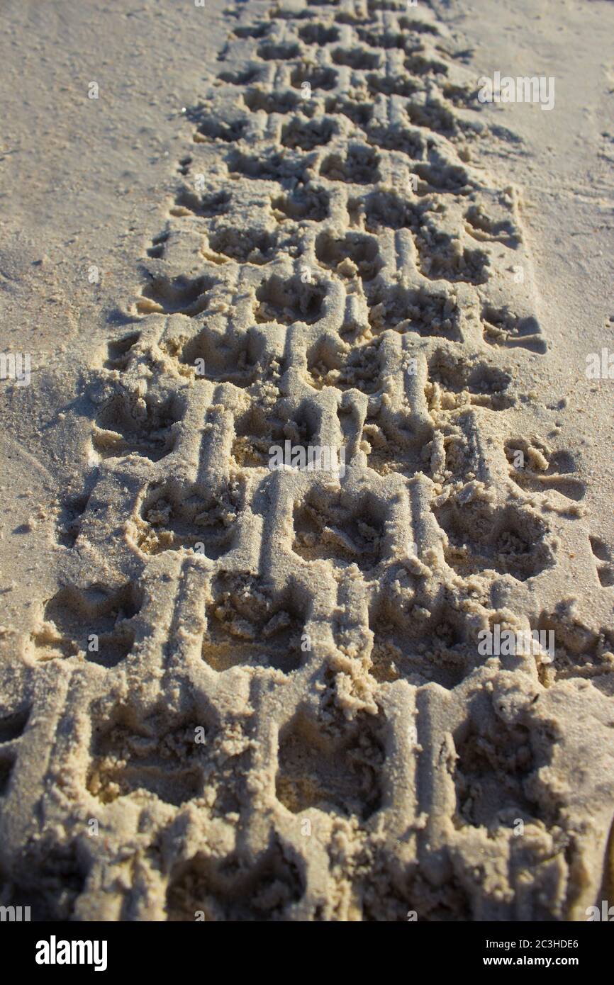 Impronta nella sabbia da un pneumatico di auto o ciclo quadro all'alba su uno sfondo di cielo blu e mare, orizzonte spiaggia alba Foto Stock