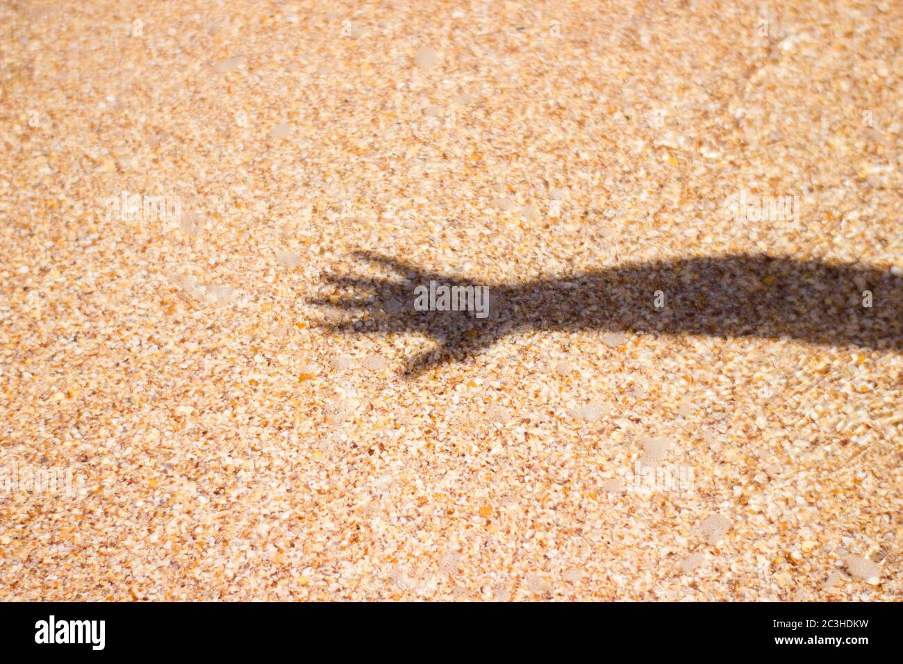 Mare acqua onda ombra dalla mano della ragazza su sabbia sfondo texture soleggiato closeup Foto Stock