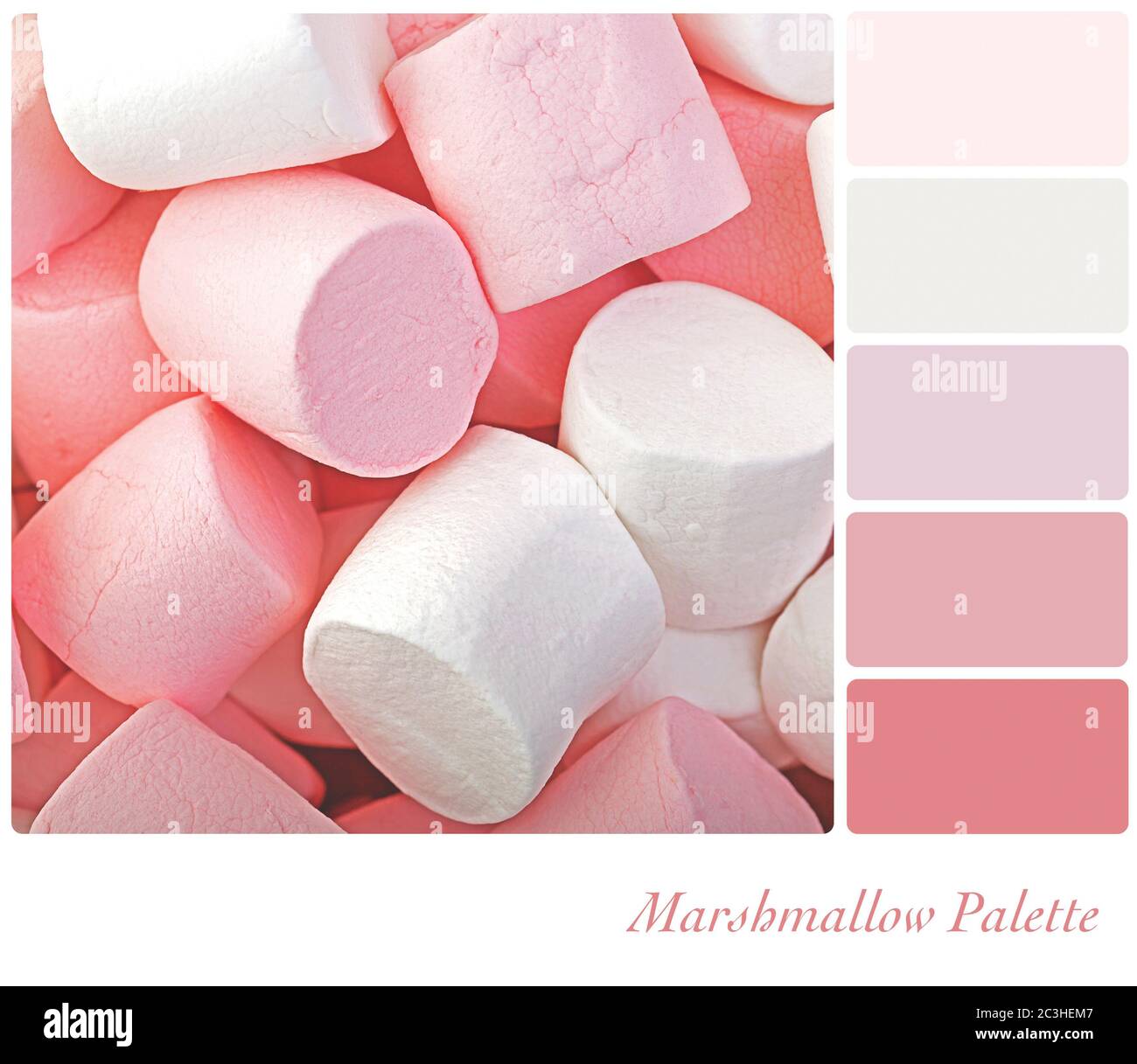 Tavolozza dei colori di sfondo Marshmallow con campioni di colore. Foto Stock