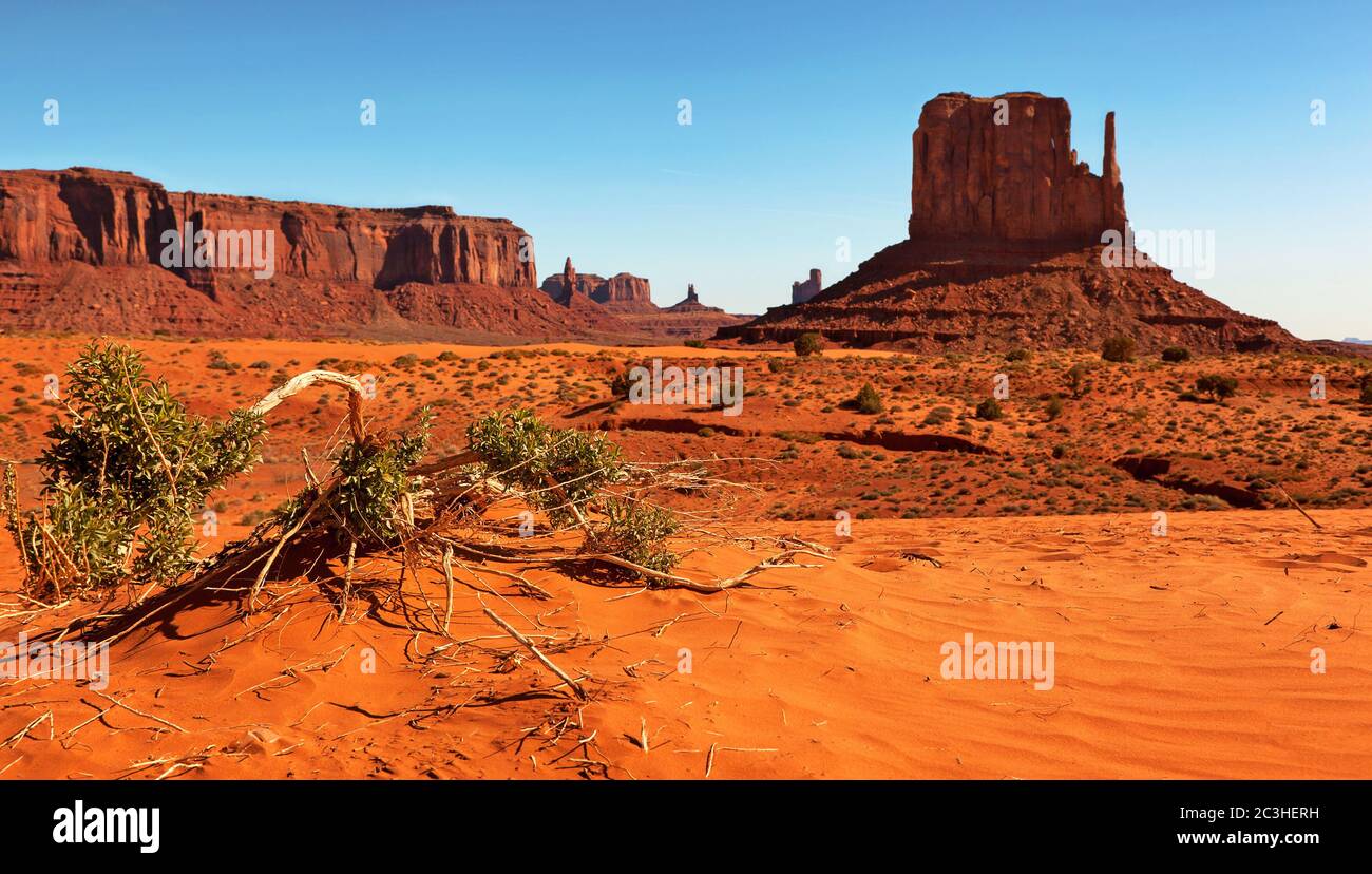 Monument Valley, Utah, Stati Uniti. Fuoco selettivo sul ramo caduto in primo piano. Foto Stock