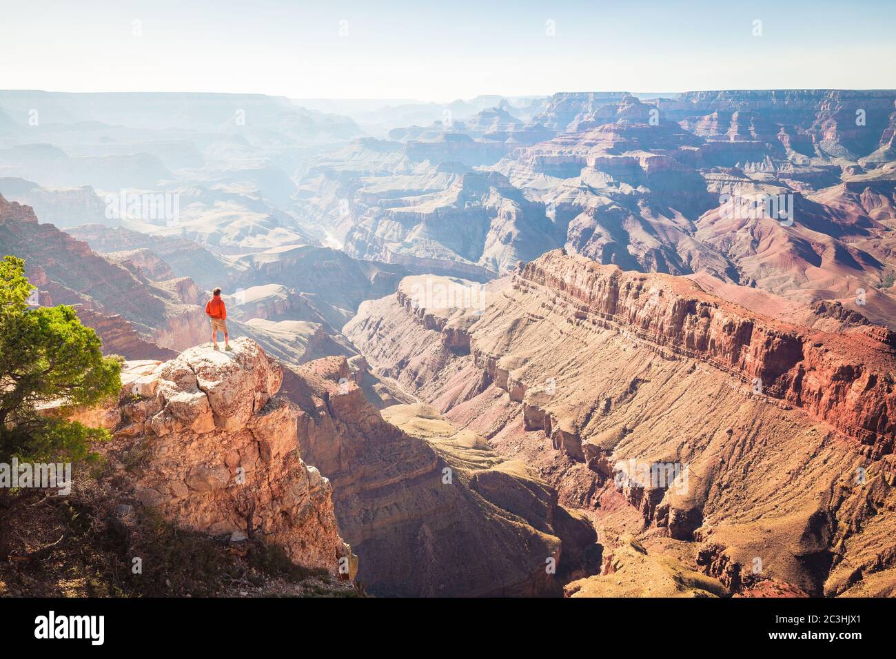 Un uomo escursionista è in piedi su una ripida scogliera che si ammira la vista incredibile sul famoso Grand Canyon in una bella giornata di sole in estate, Arizona, Stati Uniti Foto Stock