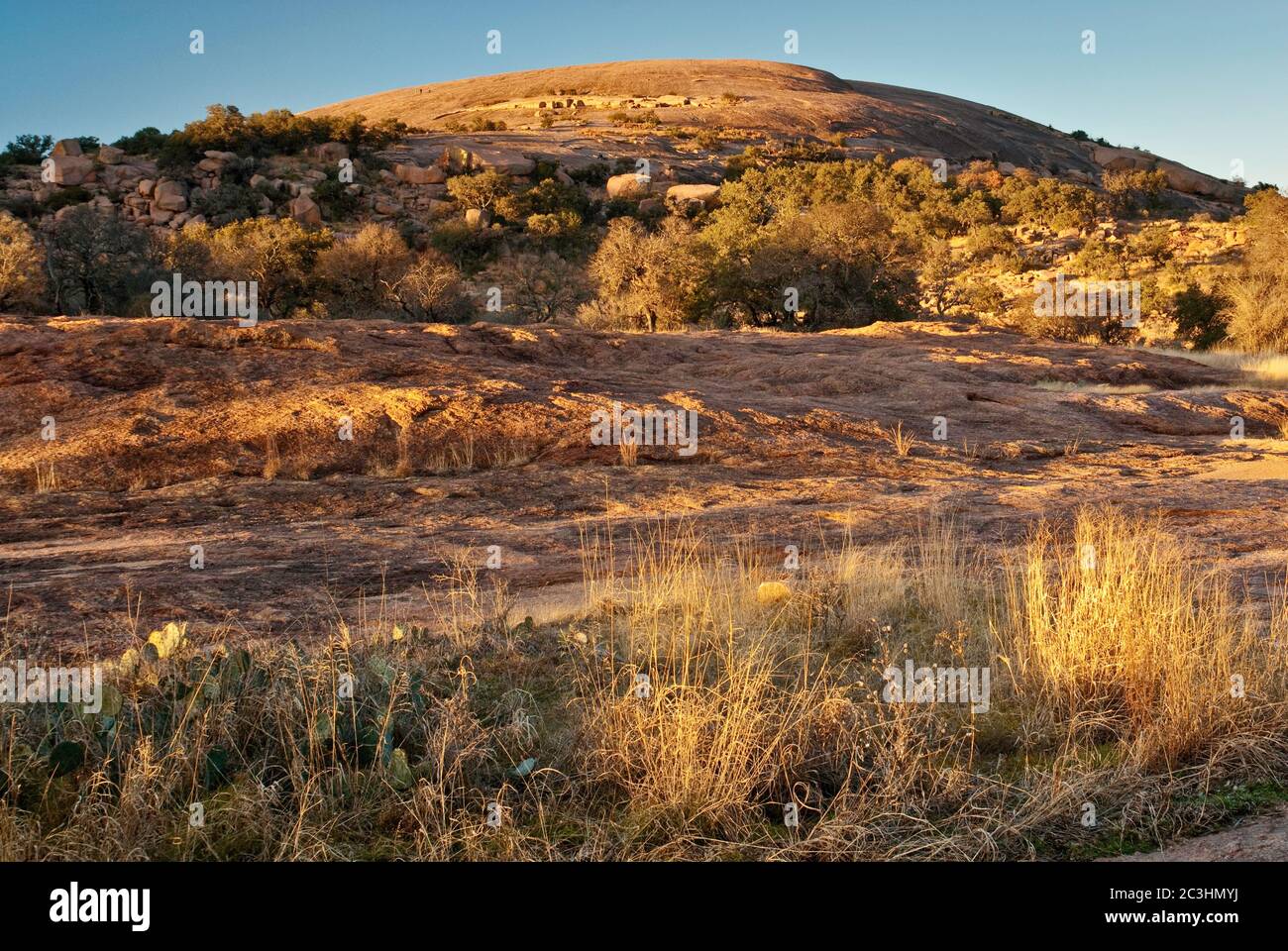 Main Dome al tramonto, Enchanted Rock state Natural Area, nella Hill Country vicino Fredericksburg, Texas, Stati Uniti Foto Stock