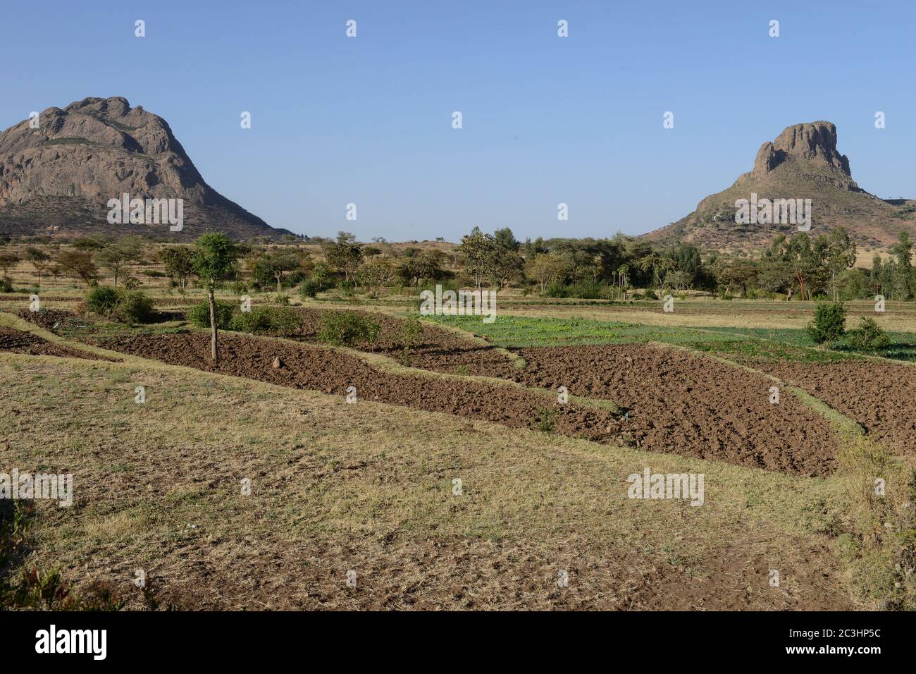 ETIOPIA, Tigray, altopiano, Adua, Battaglia di Adwa fu combattuta il 1° marzo 1896 tra l'Impero etiope e l'Italia, la battaglia fu persa dall'esercito italiano, campi e rocce / AETHIOPIEN, Tigray, Hochland, Adwa, Adwa wurde durch die Schlacht von Adua 1896 bekannt, In der aethiopische Truppen unter Kaiser Menelik II. Eine italienische Armee unter Oreste Baratieri in die Flucht schlugen. Durch diesen Sieg wurde der Vertali Italiens verhindert, Aethiopien als Kolonie zu beherrschen Foto Stock