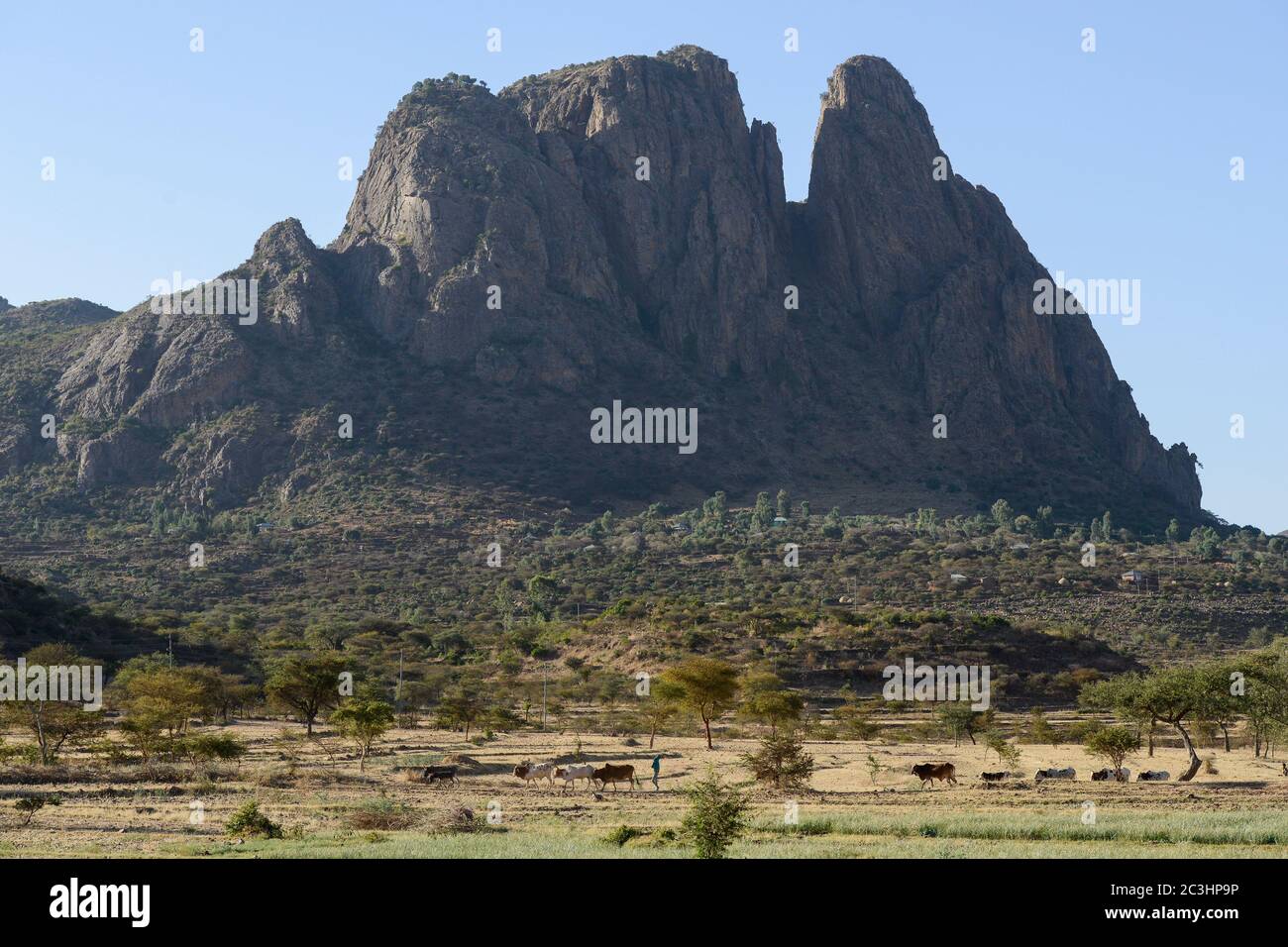 ETIOPIA, Tigray, altopiano, Adua, Battaglia di Adwa fu combattuta il 1° marzo 1896 tra l'Impero etiope e l'Italia, la battaglia fu persa dall'esercito italiano, campi e rocce / AETHIOPIEN, Tigray, Hochland, Adwa, Adwa wurde durch die Schlacht von Adua 1896 bekannt, In der aethiopische Truppen unter Kaiser Menelik II. Eine italienische Armee unter Oreste Baratieri in die Flucht schlugen. Durch diesen Sieg wurde der Vertali Italiens verhindert, Aethiopien als Kolonie zu beherrschen Foto Stock