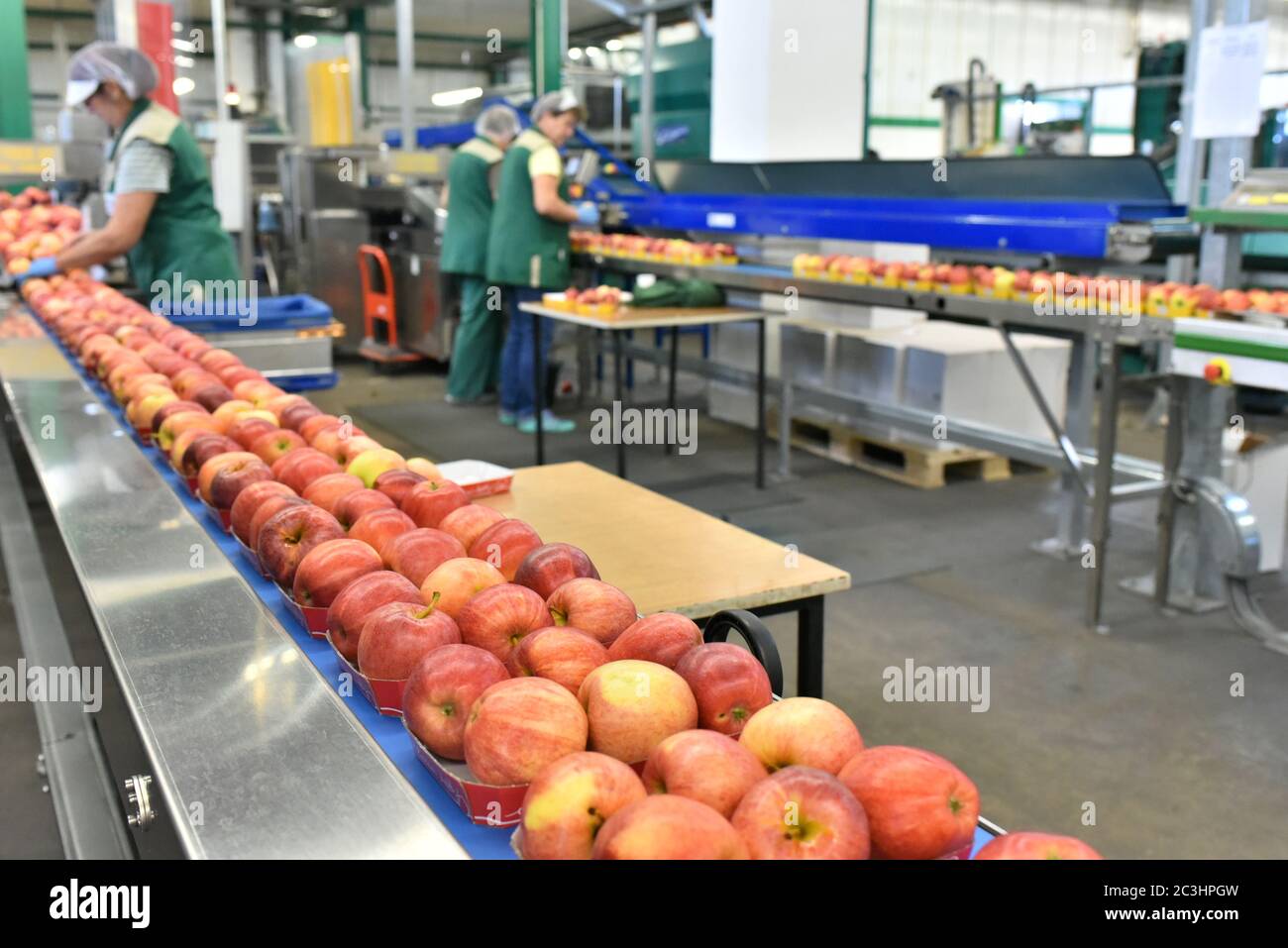 industria alimentare: linea di assemblaggio con mele e lavoratori Foto Stock