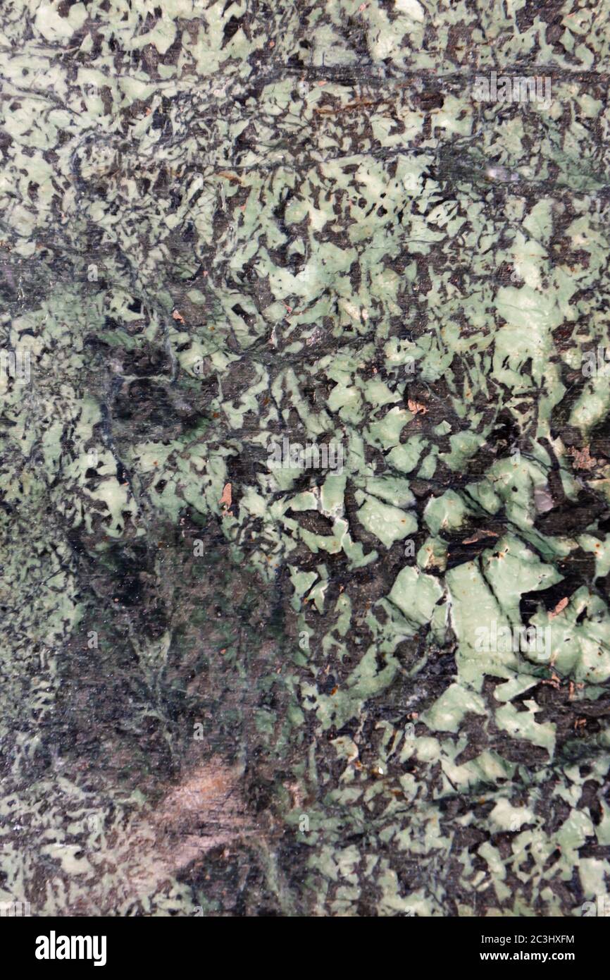 consistenza di pietra verde di selenite o granito egiziano closeup. sfondo Foto Stock