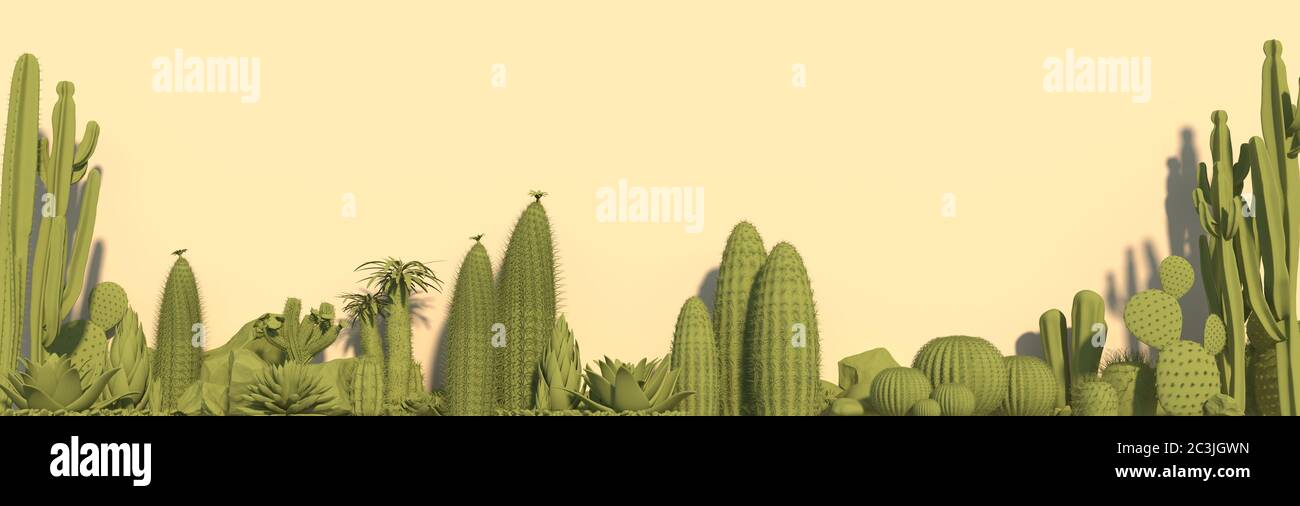 Gruppo di cactus, aloe e piante succulente in verde monocromo сolour isolato su sfondo giallo pallido. Banner lungo per l'intestazione del sito web o altro proje Foto Stock