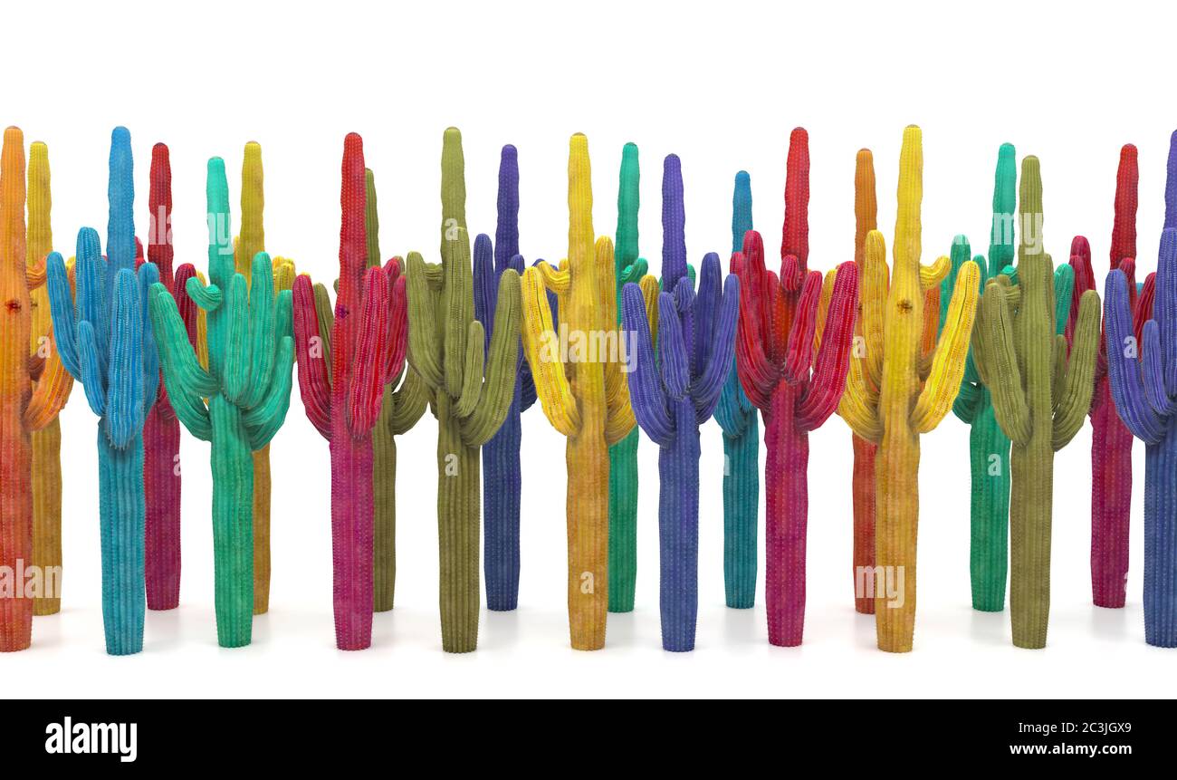 Gruppo di cactus multicolore isolati su sfondo bianco. Illustrazione concettuale creativa con spazio di copia. Rendering 3D. Foto Stock